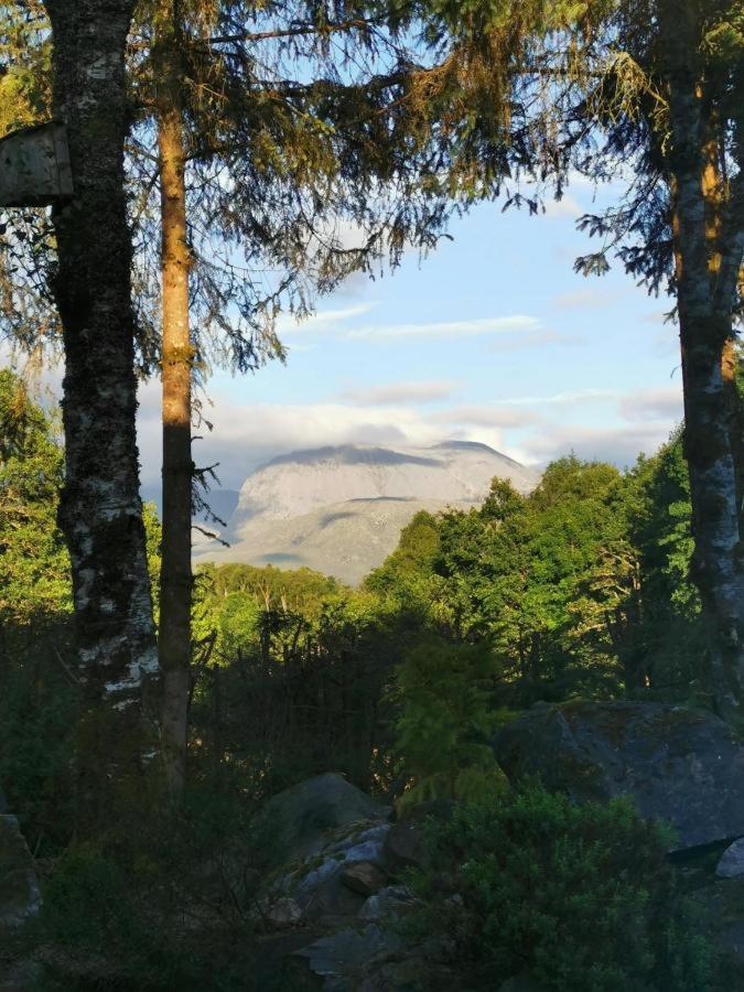 Tom Beag - Ben Nevis View Rooms Fort William Exterior foto