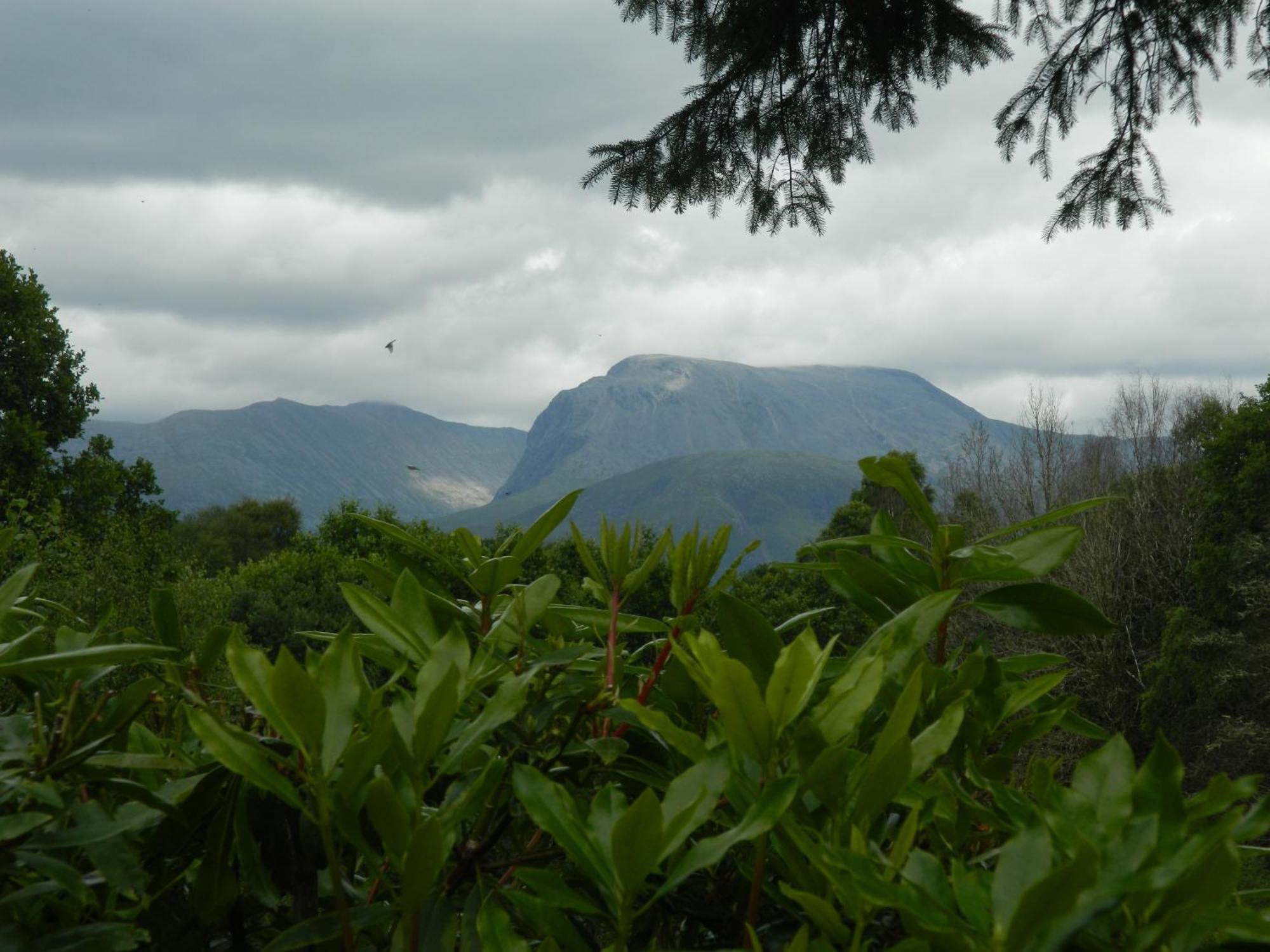 Tom Beag - Ben Nevis View Rooms Fort William Exterior foto